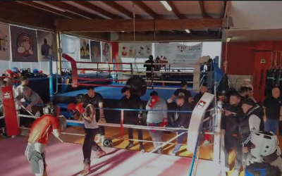 Préparation aux CFA